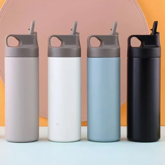 Double Wall Vacuum Bottle with Straw Lid image 0