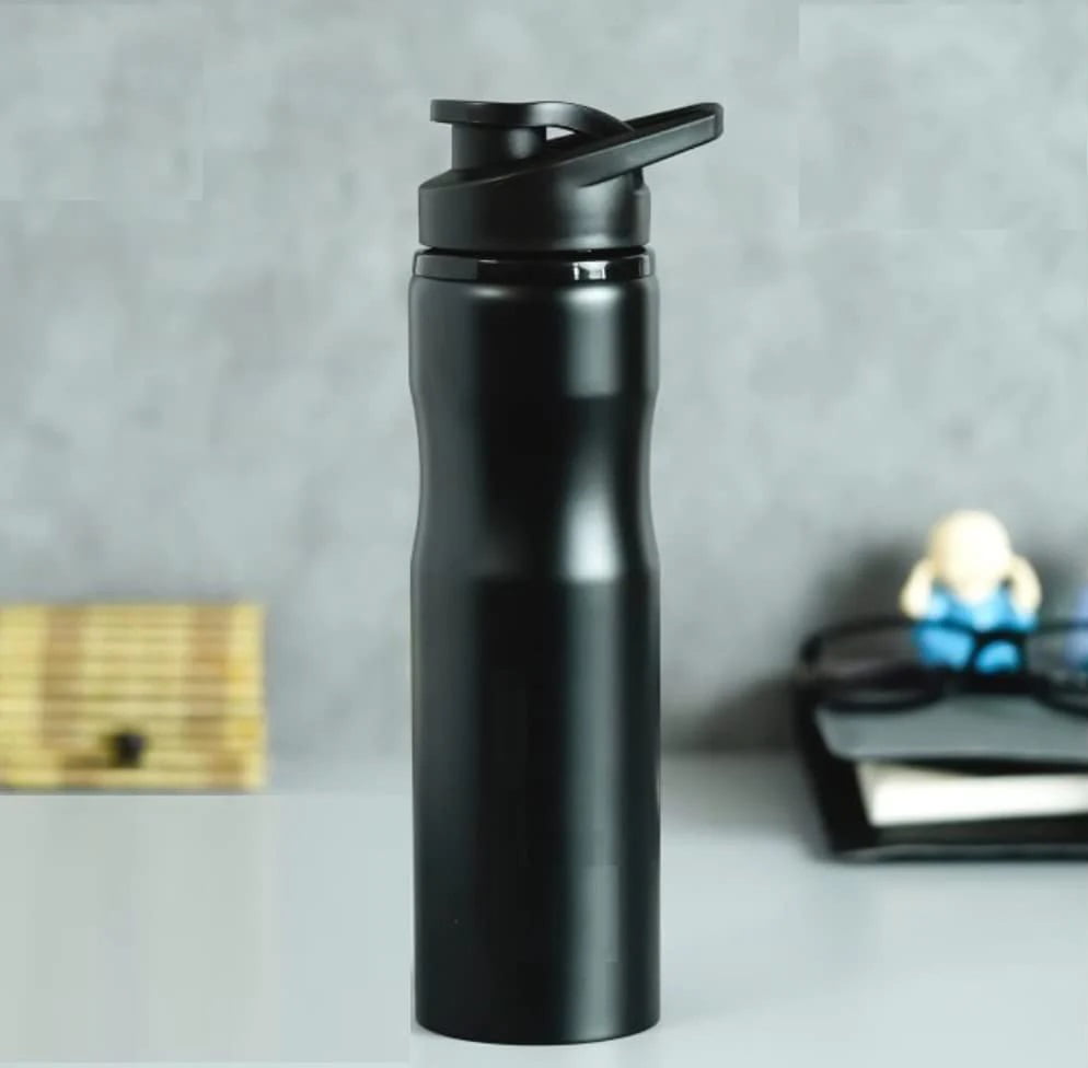 Stainless Steel Bottle image 0