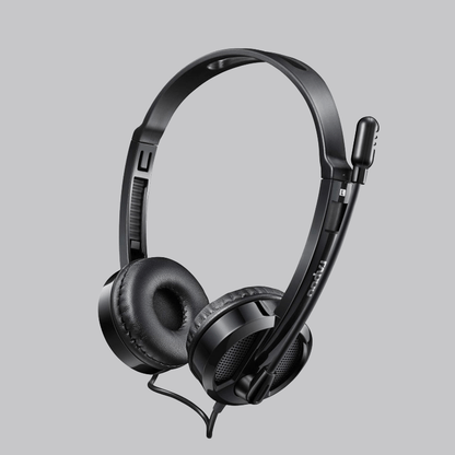 RAPOO-H100 image 1