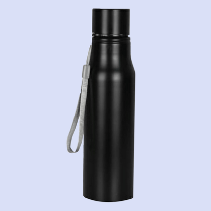 Stainless Steel Bottle Glossy image 0