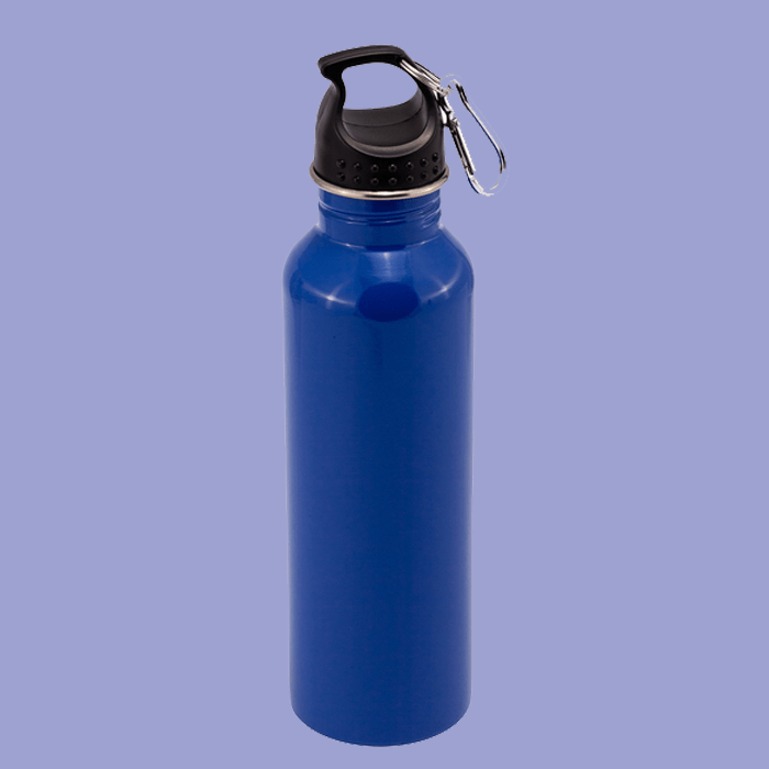 Stainless Steel Water Bottle with Carbiner image 0