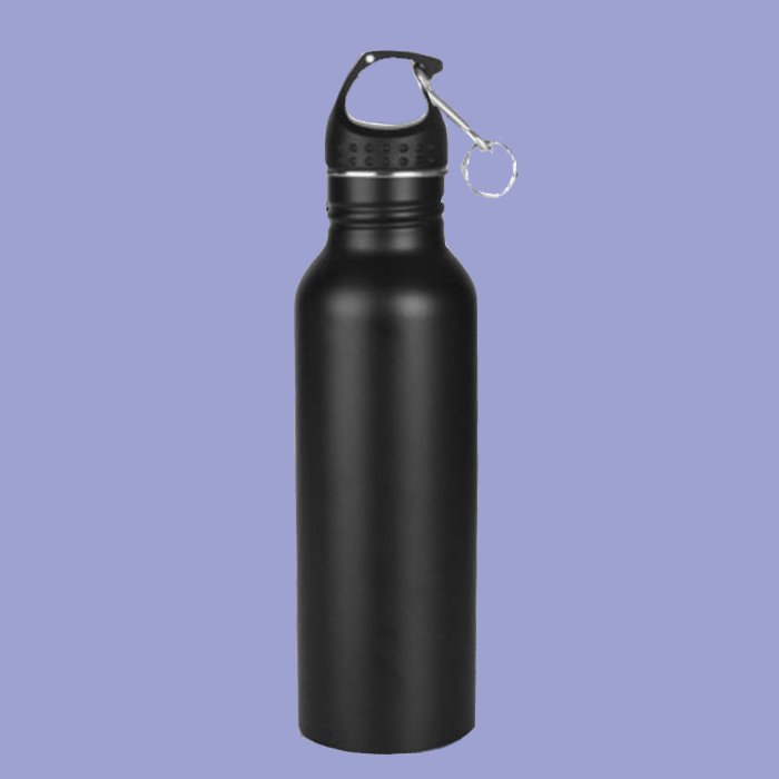 Stainless Steel Water Bottle with Carbiner image 1
